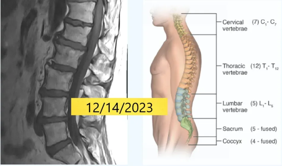 imaging-12.14.2023-2