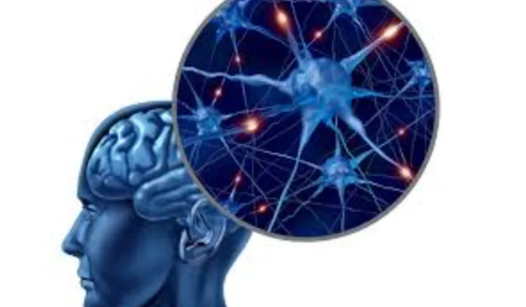 pain science