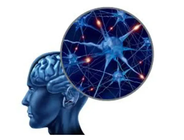 pain science